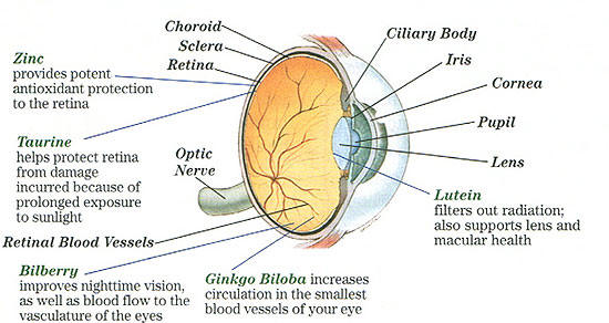Eye Protection, Dry Eye Therapy